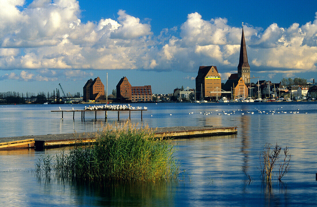 Europe, Germany, Mecklenburg-Western Pomerania, Rostock, Rostock harbour