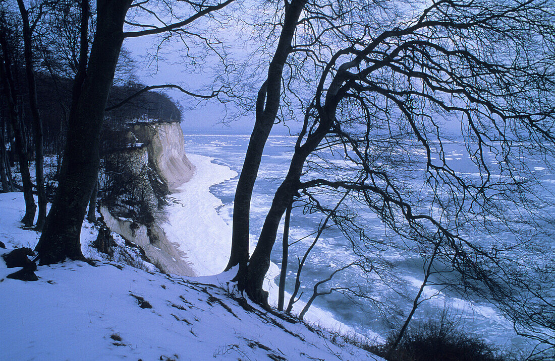 Kreidefelsen im Winter, Nationalpark Jasmund, Insel Rügen, Mecklenburg-Vorpommern, Deutschland