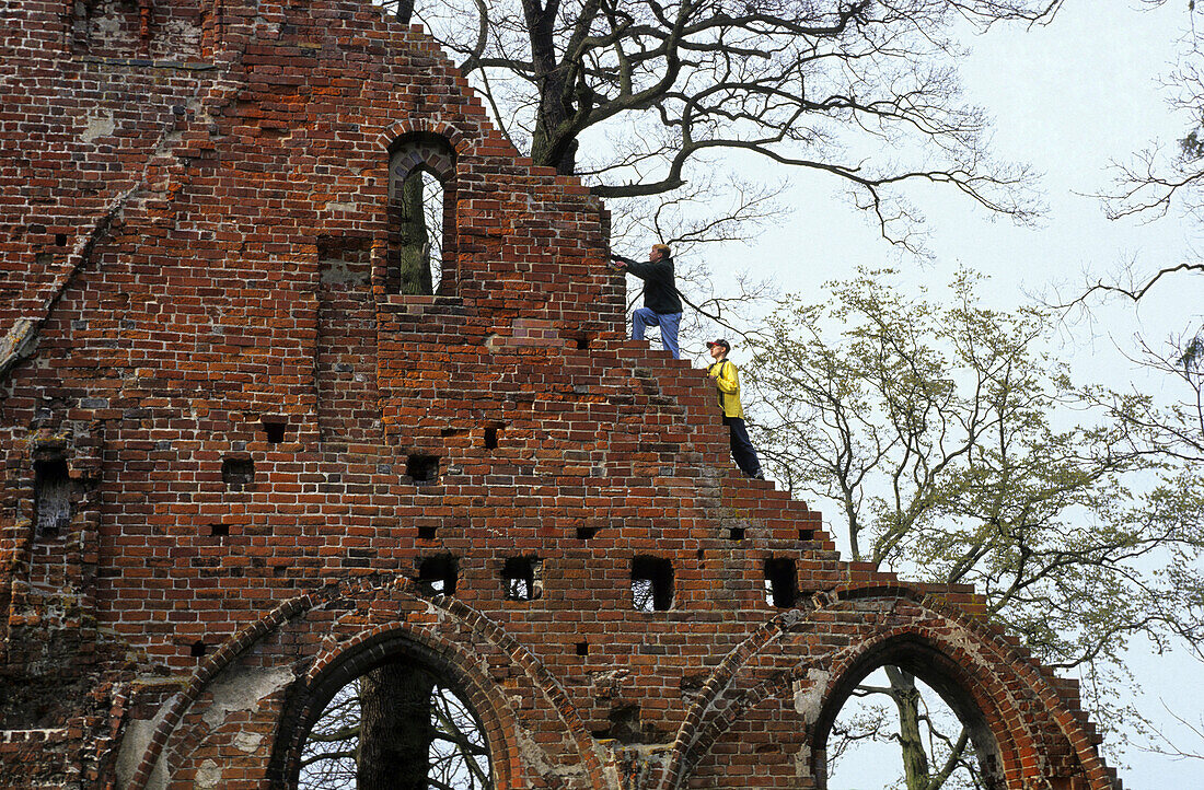 Children climbing on monastery ruin Eldena, Greifswald, Mecklenburg-Western Pomerania, Germany