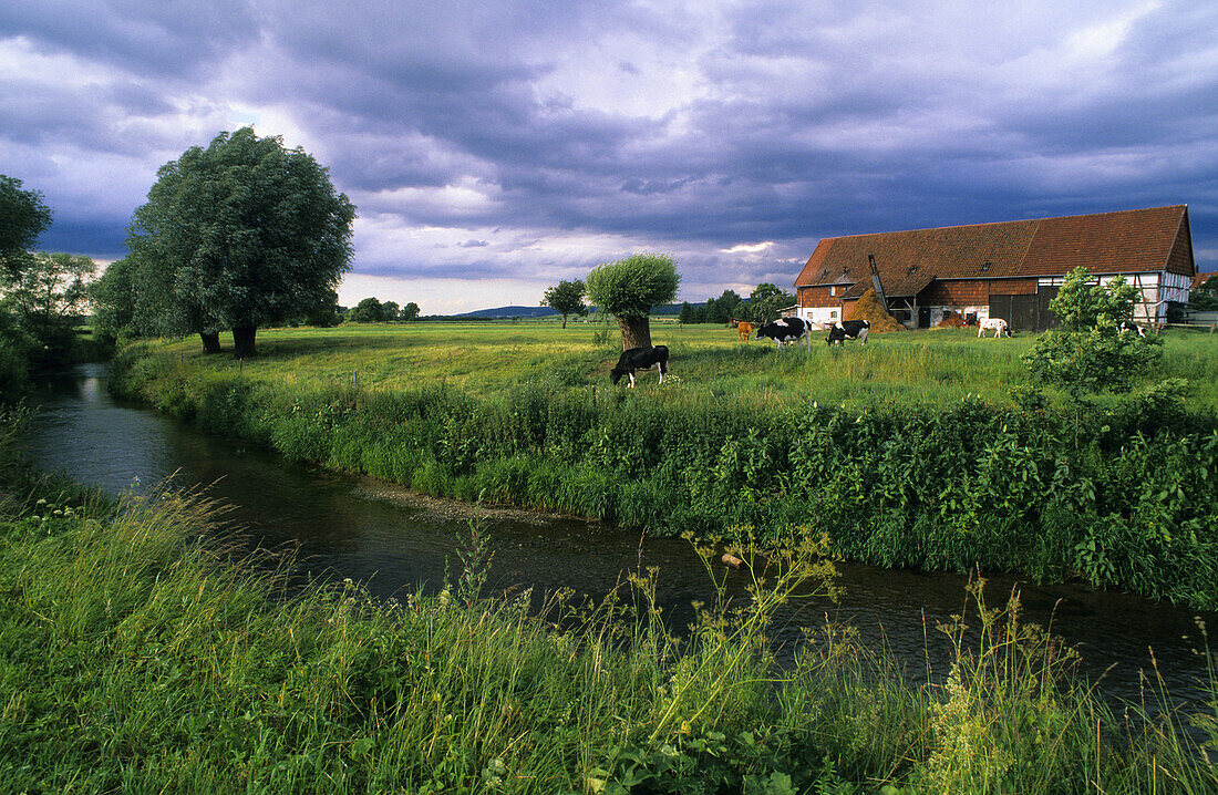 Bauernhof bei Niedernjesa, Friedland, Niedersachsen, Deutschland
