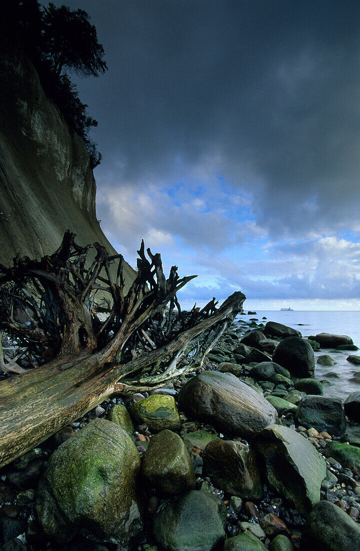 Europa, Deutschland, Mecklenburg-Vorpommern, Insel Rügen, Kreidefelsen im Nationalpark Jasmund