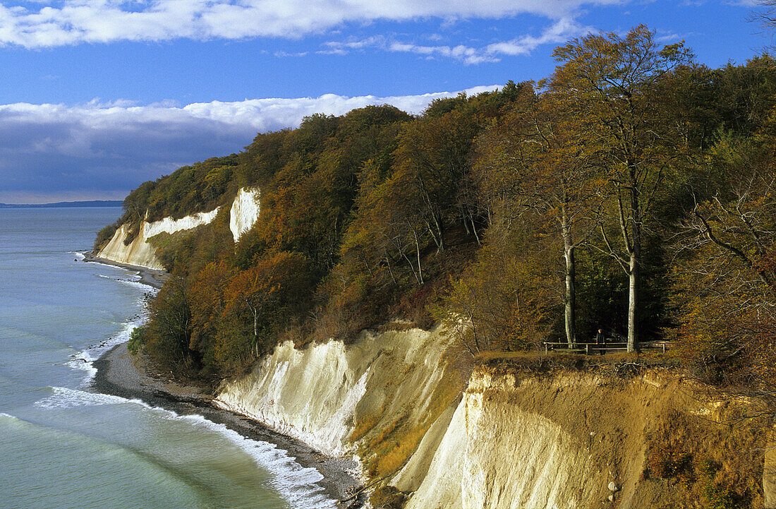 Kreidefelsen im Herbst, Nationalpark Jasmund, Insel Rügen, Mecklenburg-Vorpommern, Deutschland