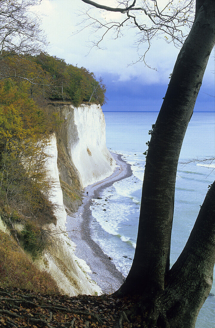 Chalk cliffs, Jasmund National Park, Rugen island, Mecklenburg-Western Pommerania, Germany