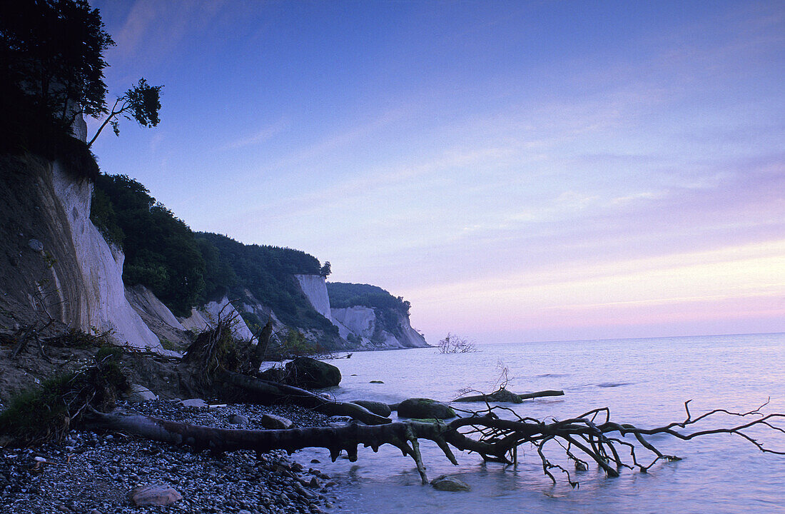 Kreidefelsen, Nationalpark Jasmund, Insel Rügen, Mecklenburg-Vorpommern, Deutschland