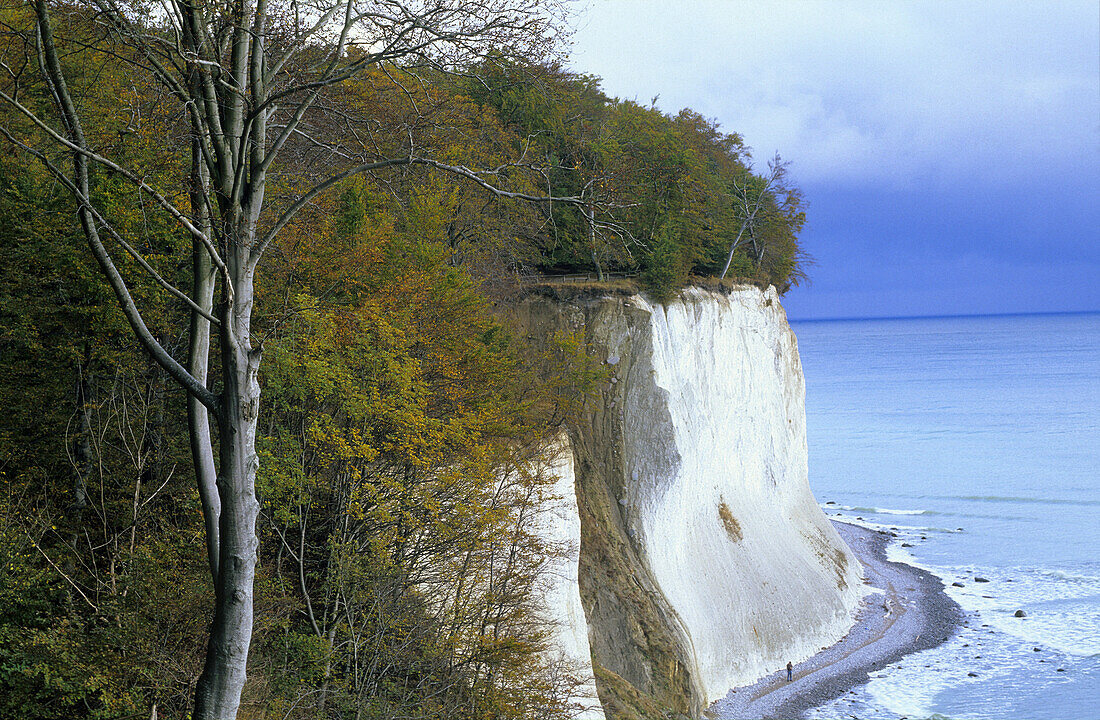 Chalk cliffs, Jasmund National Park, Rugen island, Mecklenburg-Western Pommerania, Germany