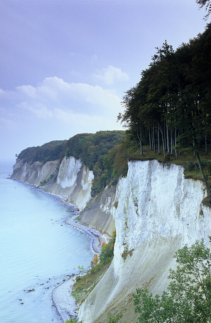 Chalk cliffs Hohes Ufer, Jasmund National Park, Rugen island, Mecklenburg-Western Pommerania, Germany