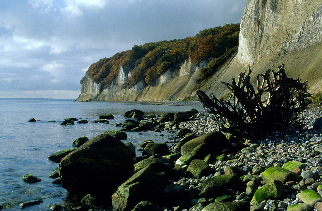 Europe, Germany, Mecklenburg-Western Pomerania, isle of Rügen, Wissower Klinken, chalk cliffs at Jasmund National Park