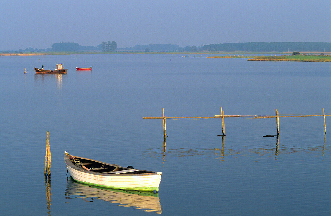 Europa, Deutschland, Mecklenburg-Vorpommern, Insel Rügen, Landschaft auf Ummanz