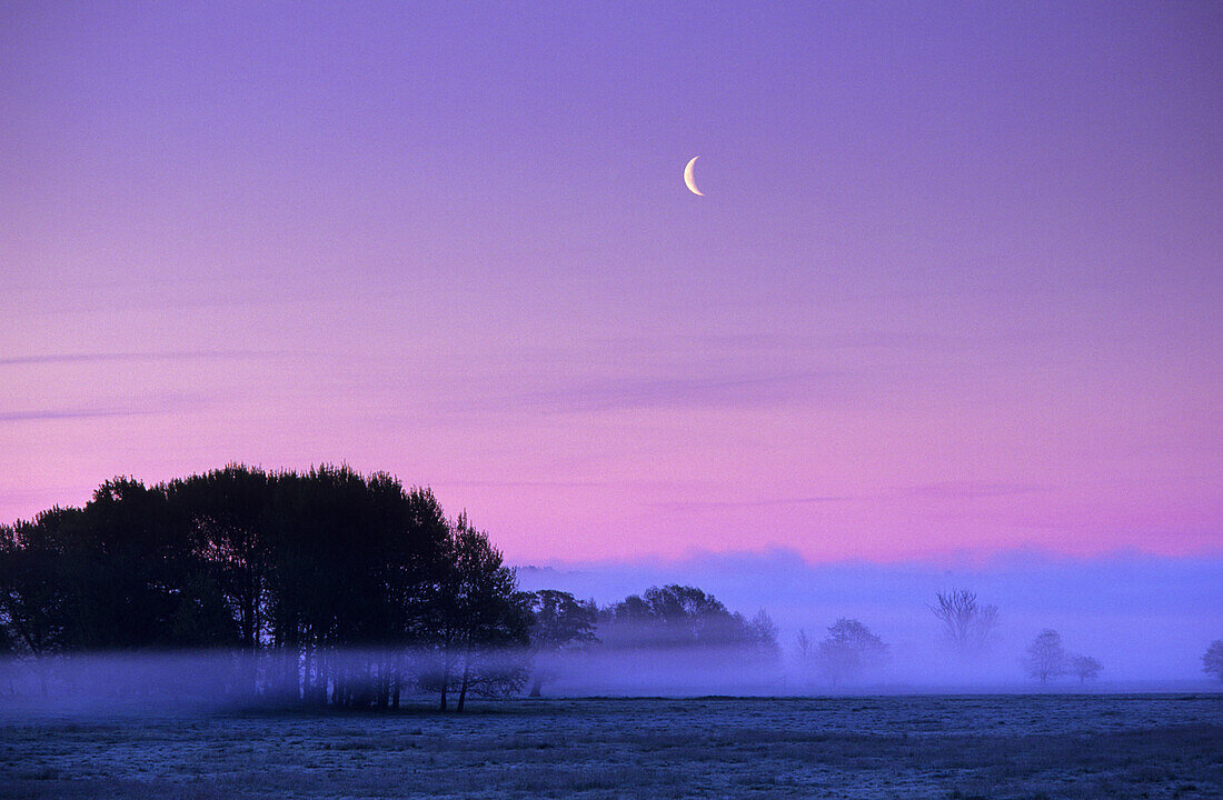 Foggy scenery near Lancken-Granitz, Rugen island, Mecklenburg-Western Pomerania, Germany