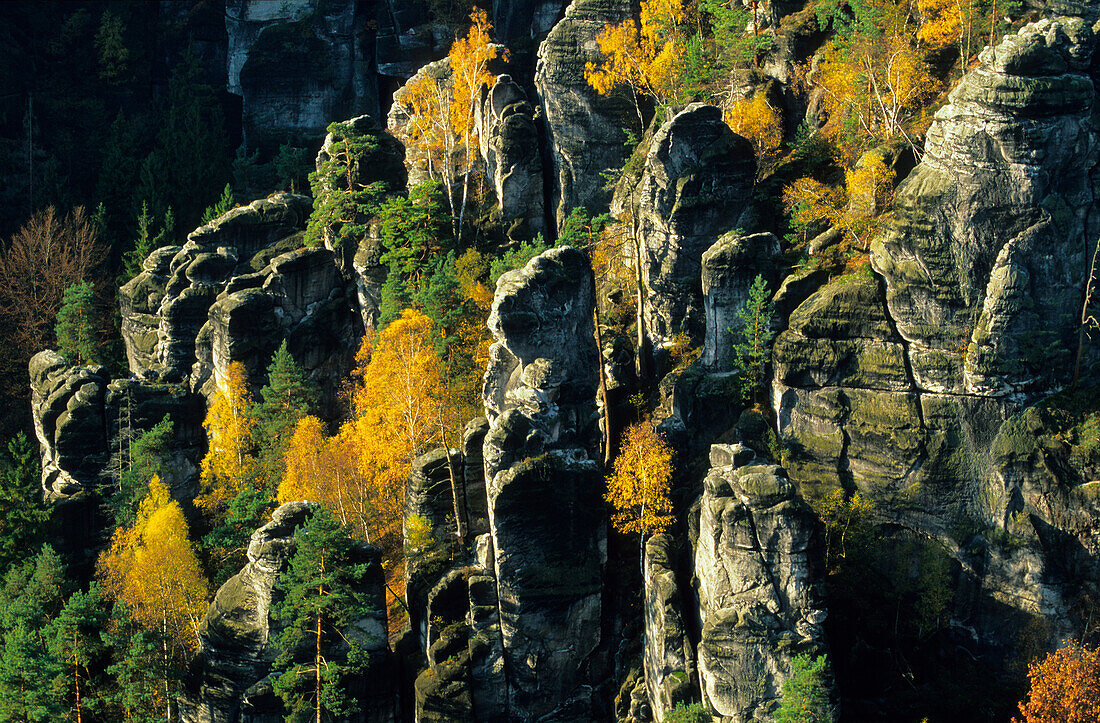 Europe, Germany, Saxony, Elbe Sandstone Mountains, Saxon Switzerland, steep rock walls near Neurathen