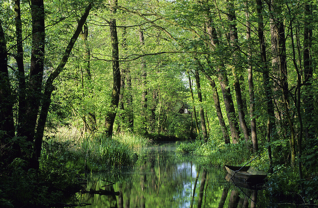 Canal with punt, Spreewald near Lehde, Brandenburg, Germany