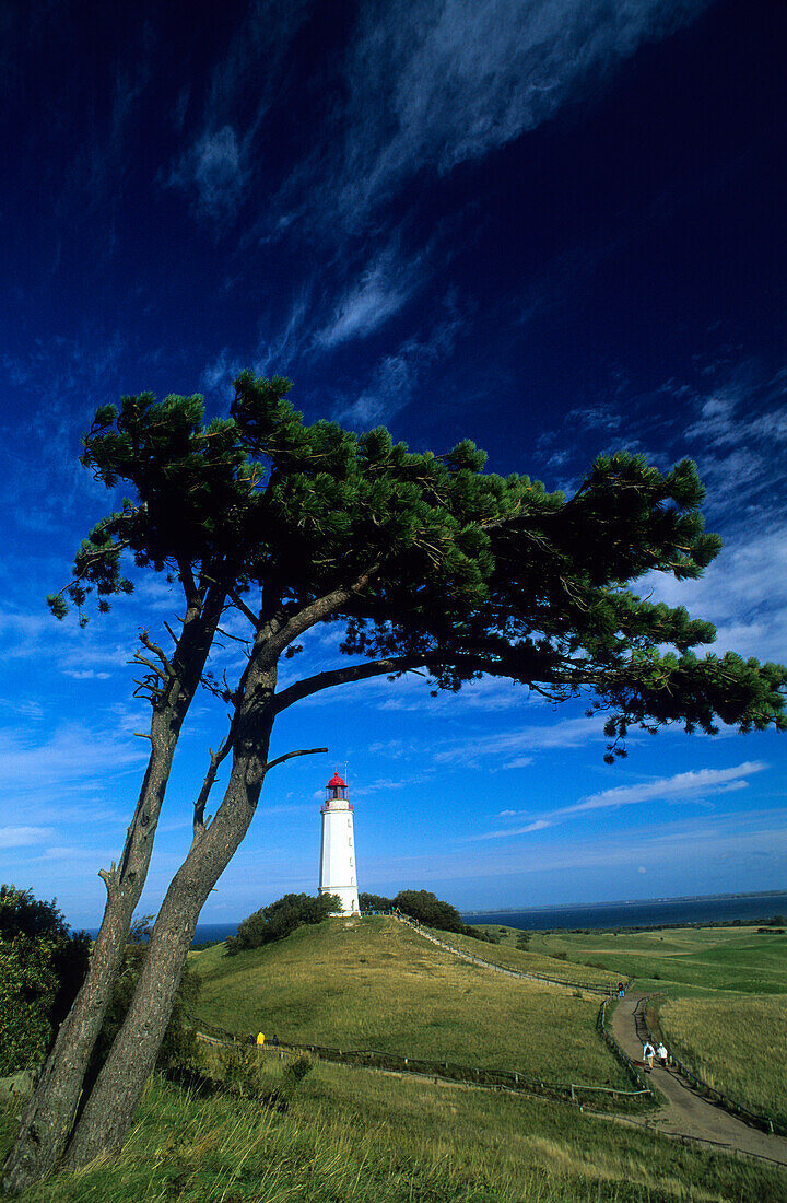 Europe, Germany, Mecklenburg-Western Pomerania, isle of Hiddensee, lighthouse Dornbusch