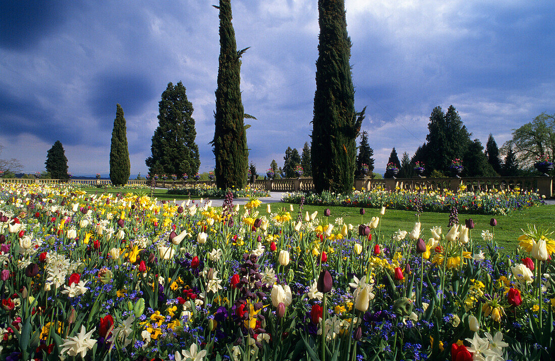 Europa, Deutschland, Baden-Württemberg, Bodensee, Insel Mainau