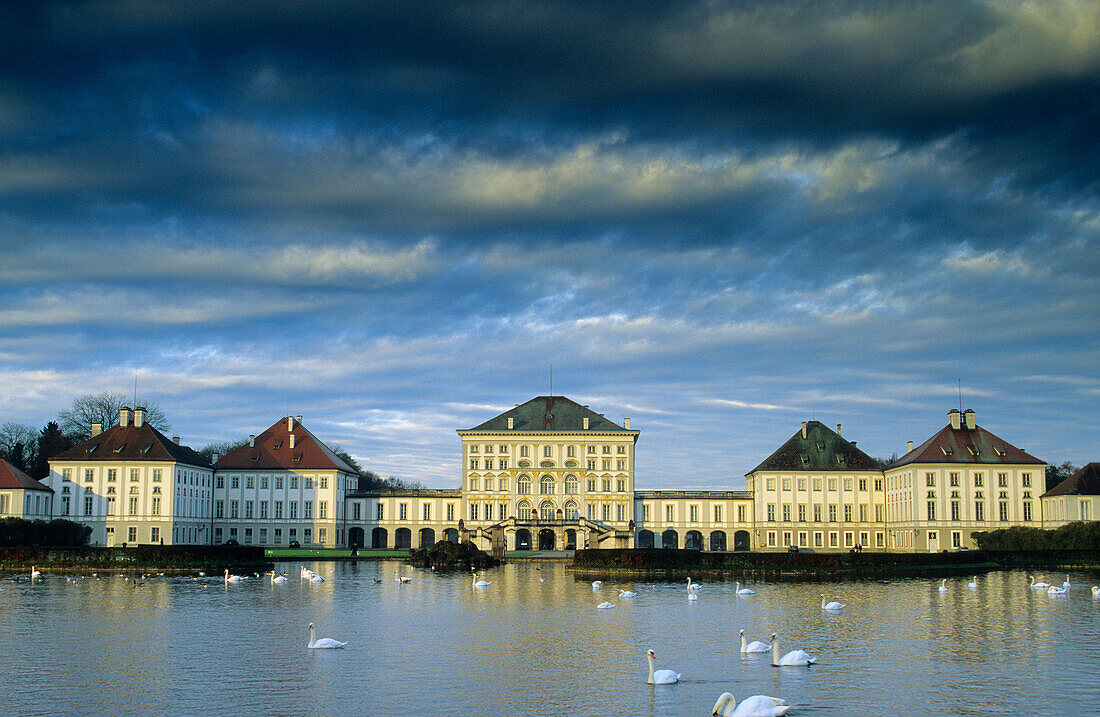Europe, Germany, Bavaria, Munich, Nymphenburg Palace, swans on the Nymphenburg canal in front of the Palace