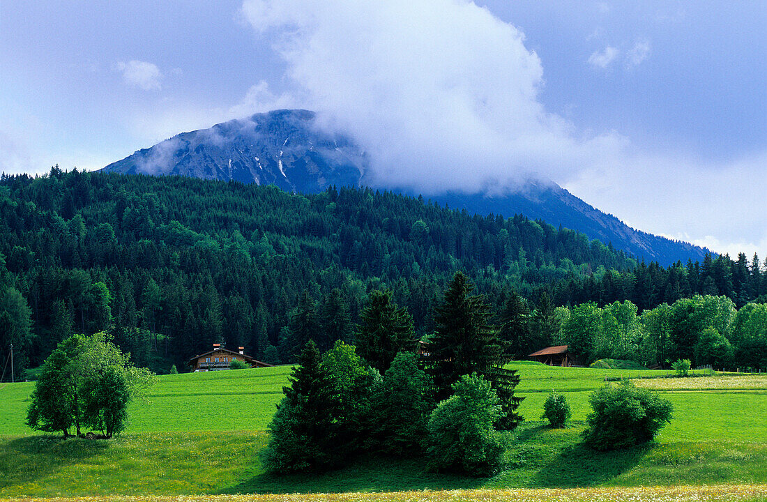 Europa, Deutschland, Bayern bei Pfronten, Landschaft im Allgäu