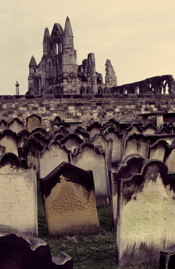 Europe, Great Britain, England, North Yorkshire, Whitby, Abbey and churchyard