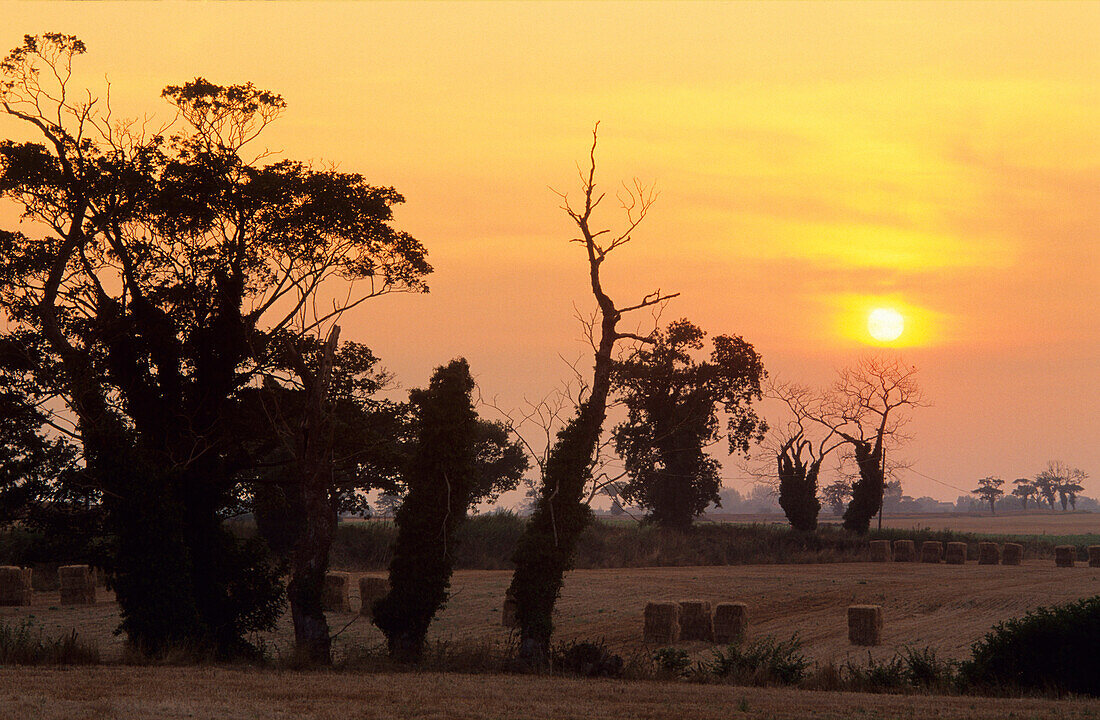 Europa, England, Norfork, Sonnenuntergang bei North Lopham