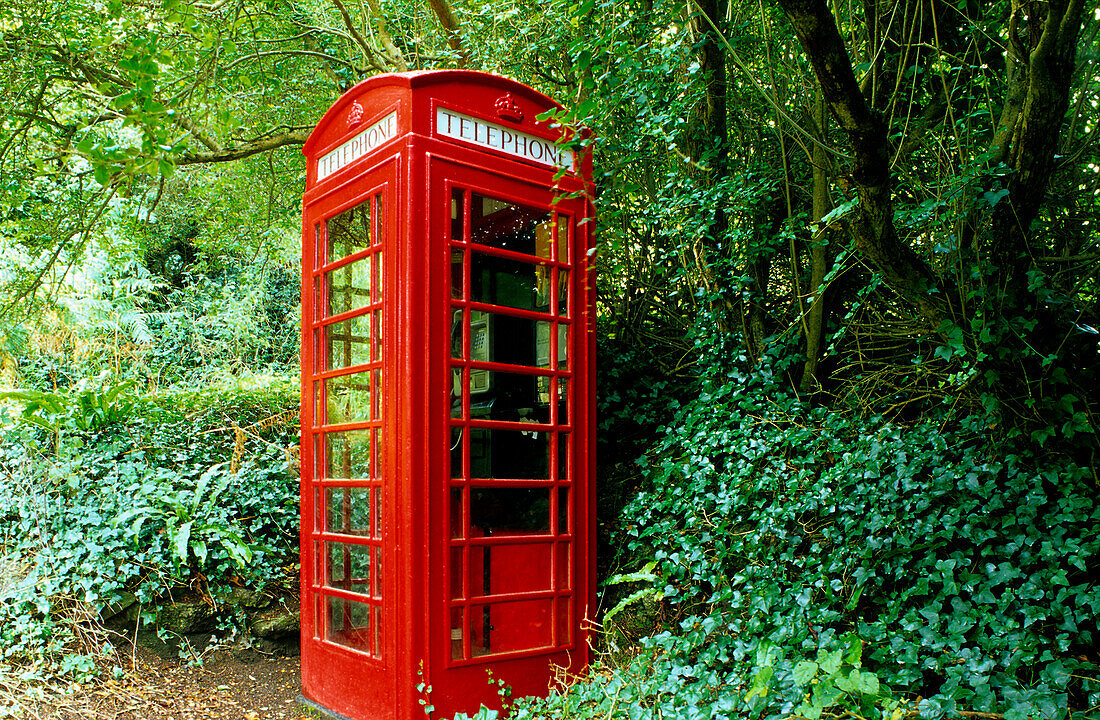 Europe, England, Cornwall, phone box