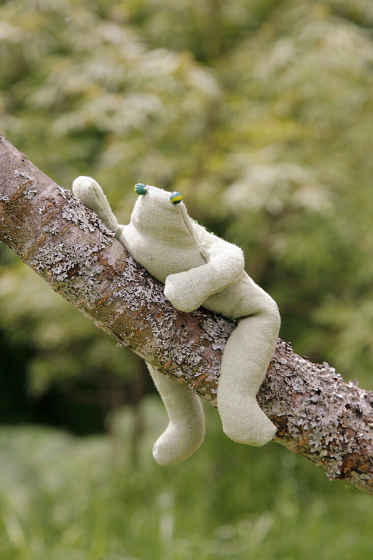 Frog made of cloth, in a tree