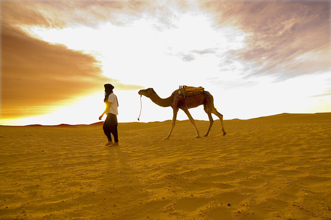 The desert near Mhamid. Draa Valley. Morocco.