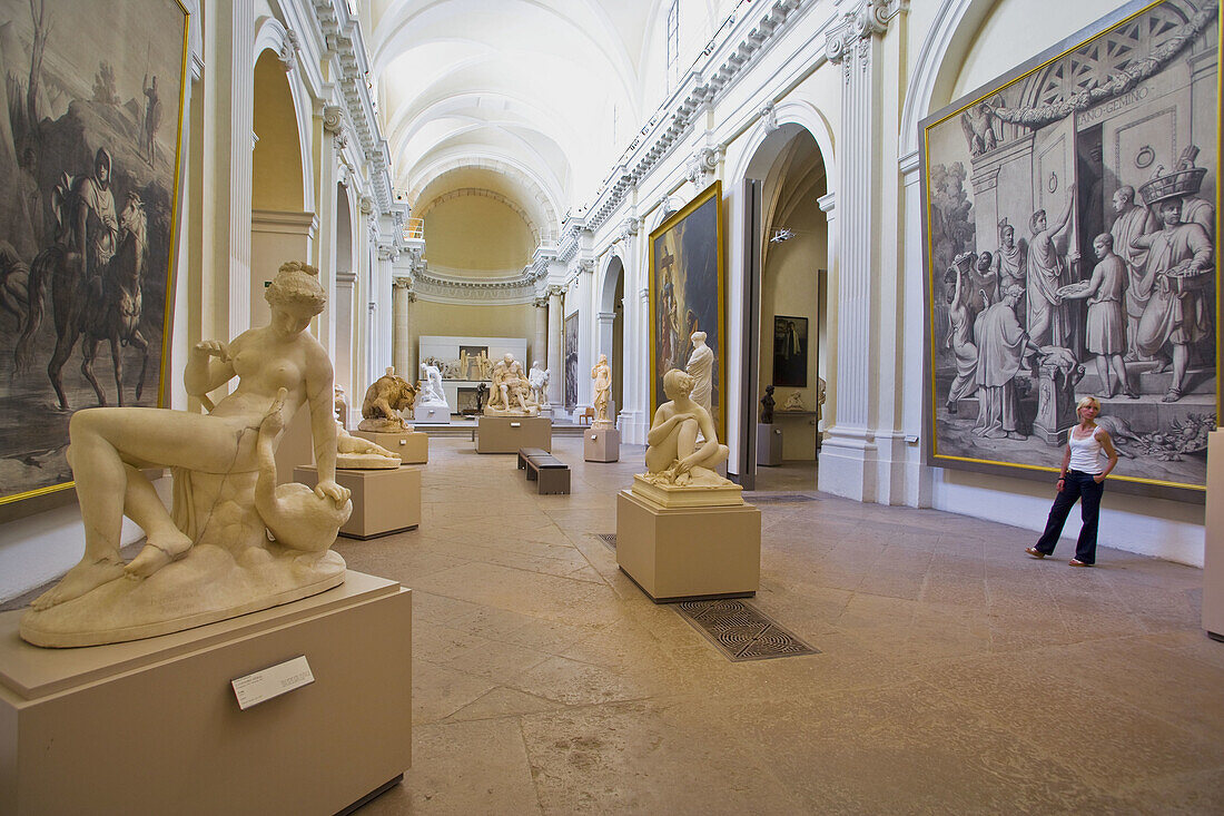 Musée des Beaux Arts (Museum of Fine Arts), the chapel. Lyon, Rhône-Alpes, France