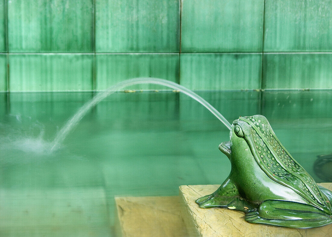 Abstract, Animal, Close up, Close-up, Closeup, Color, Colour, Concept, Conceptual, Daytime, Decoration, Detail, Details, Exterior, Fountain, Fountains, Frog, Frogs, Funny, Garden, Green, Horizontal, Hotizontal, Jet, Jets, Outdoor, Outdoors, Outside, Peace