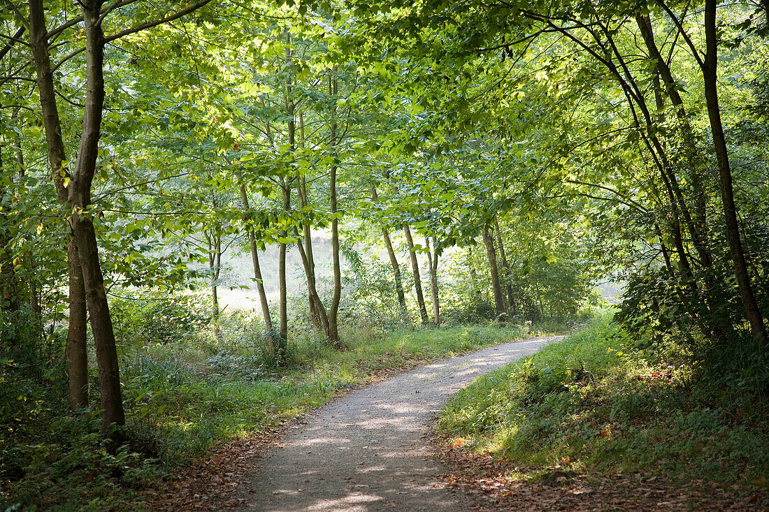 Landstraße. Villlabona, Guipuzcoa, Baskenland, Spanien