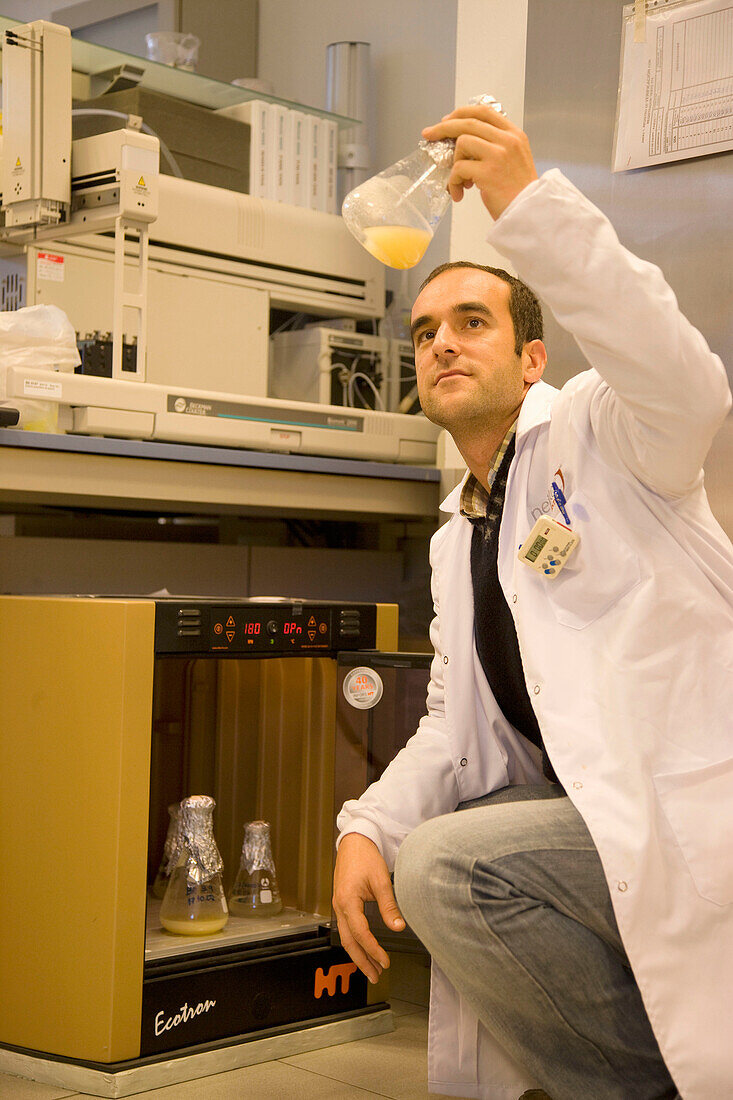 Plant cell suspension, Orbital shaker. Biotechnology Laboratory, Neiker Tecnalia, Instituto de Investigación y Desarrollo Agrario, Ganadero, Forestal y del Medio Natural, Arkaute, Alava, Euskadi. Spain.