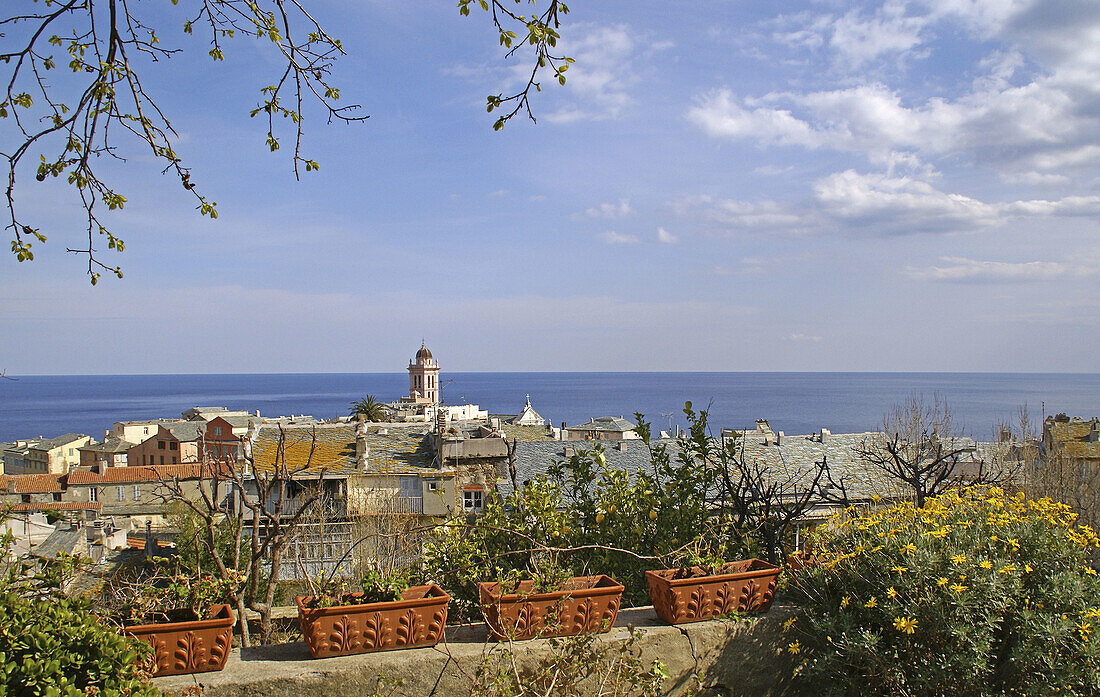 Bastia, from the top of Chemin des Philippines. Corsica. France.