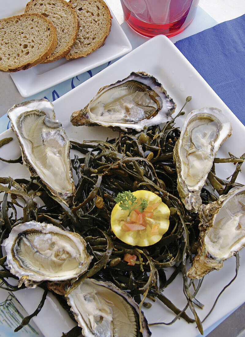 Food: Oysters from the Bassin d'Arcachon. Gironde. France.