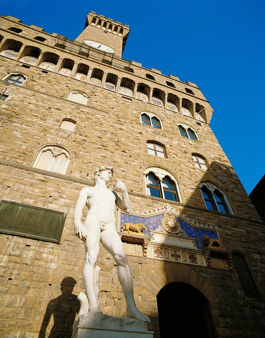 Statue of David in front of Palazzo Vecchio in Piazza della Signoria, Florence. Tuscany, Italy