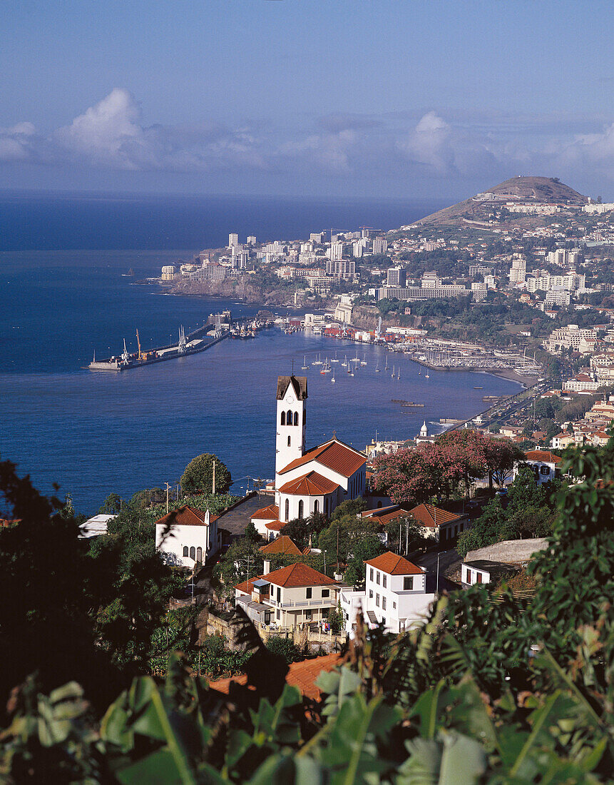 Funchal. Madeira Islands, Spain