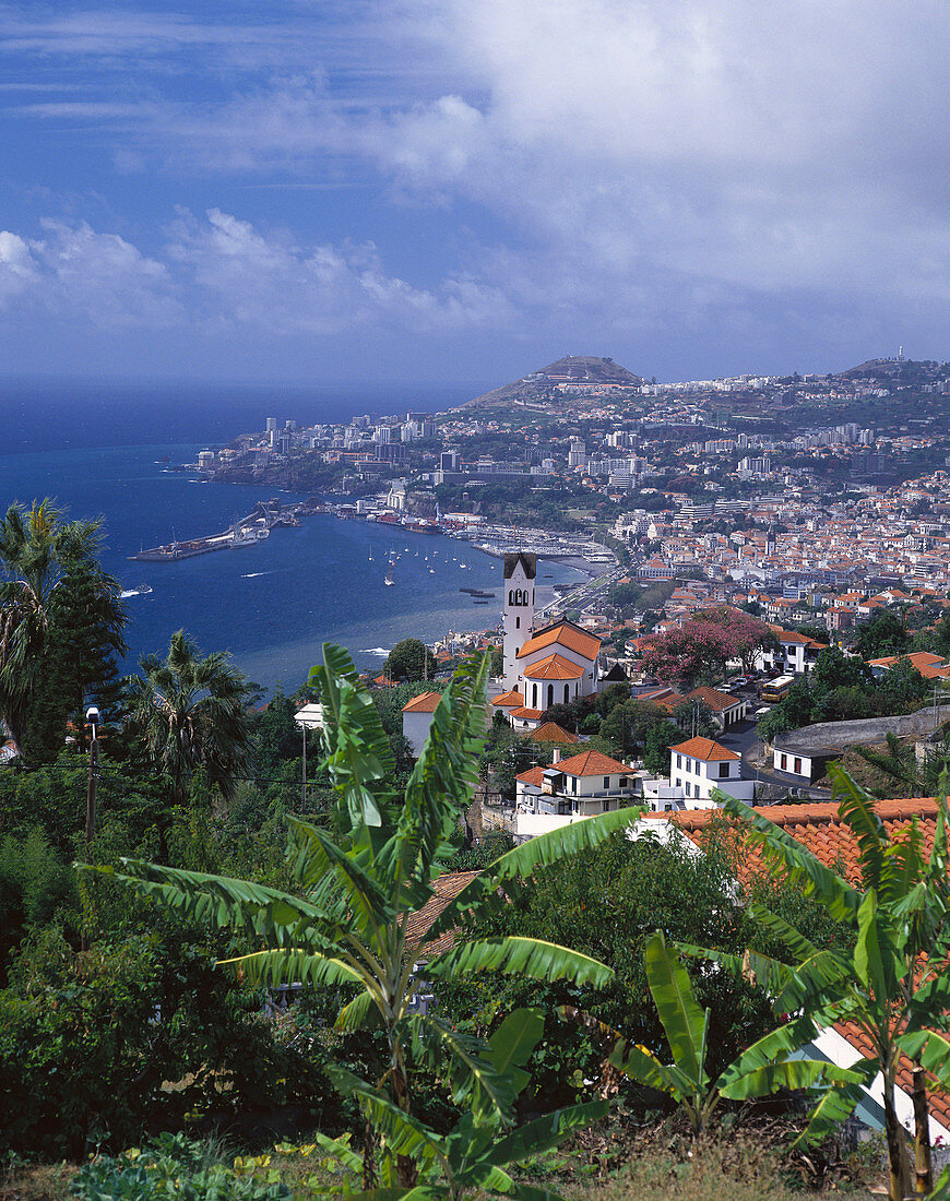 Funchal. Madeira Islands, Spain