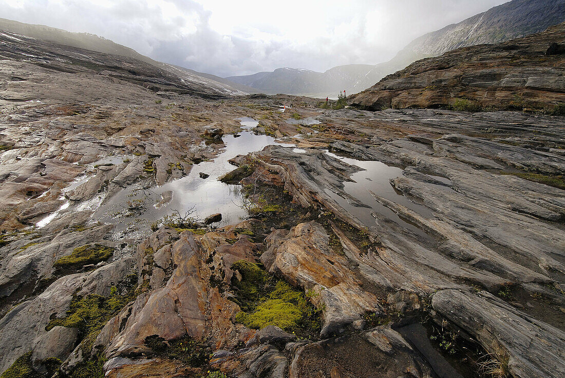 Saltfjellet-Svartisen National Park. Norway.