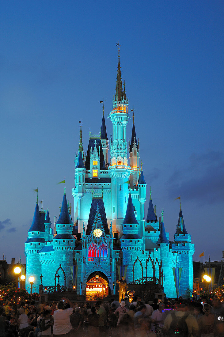 magic kingdom castle at night orlando florida usa america walt disney world resort
