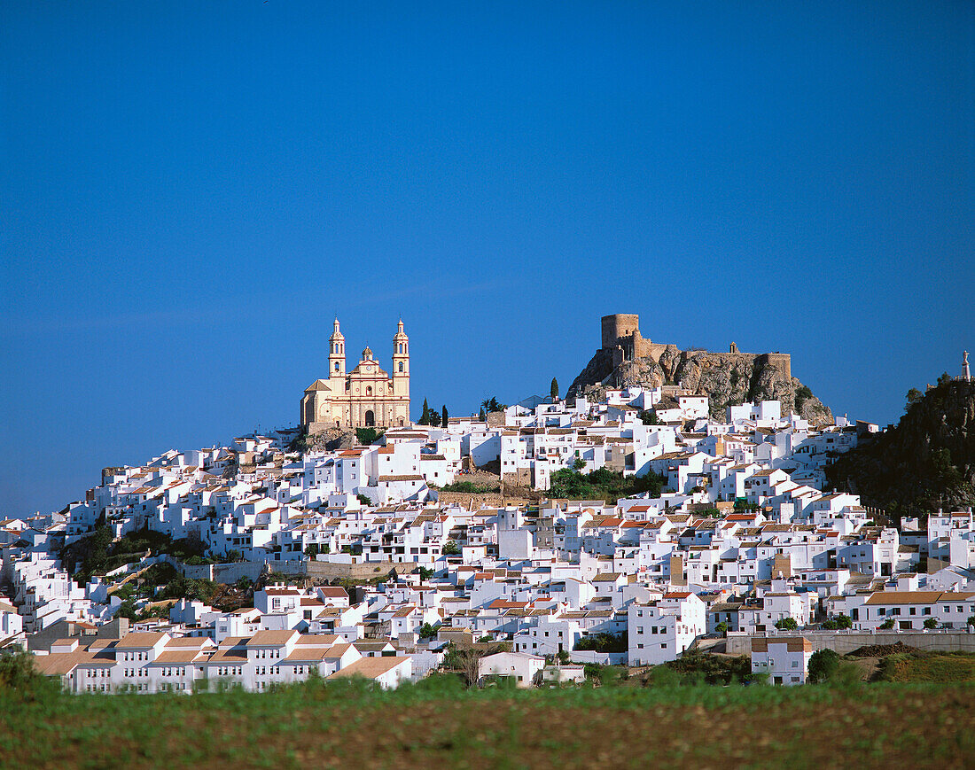 Olvera. Cadiz province, Andalucia, Spain