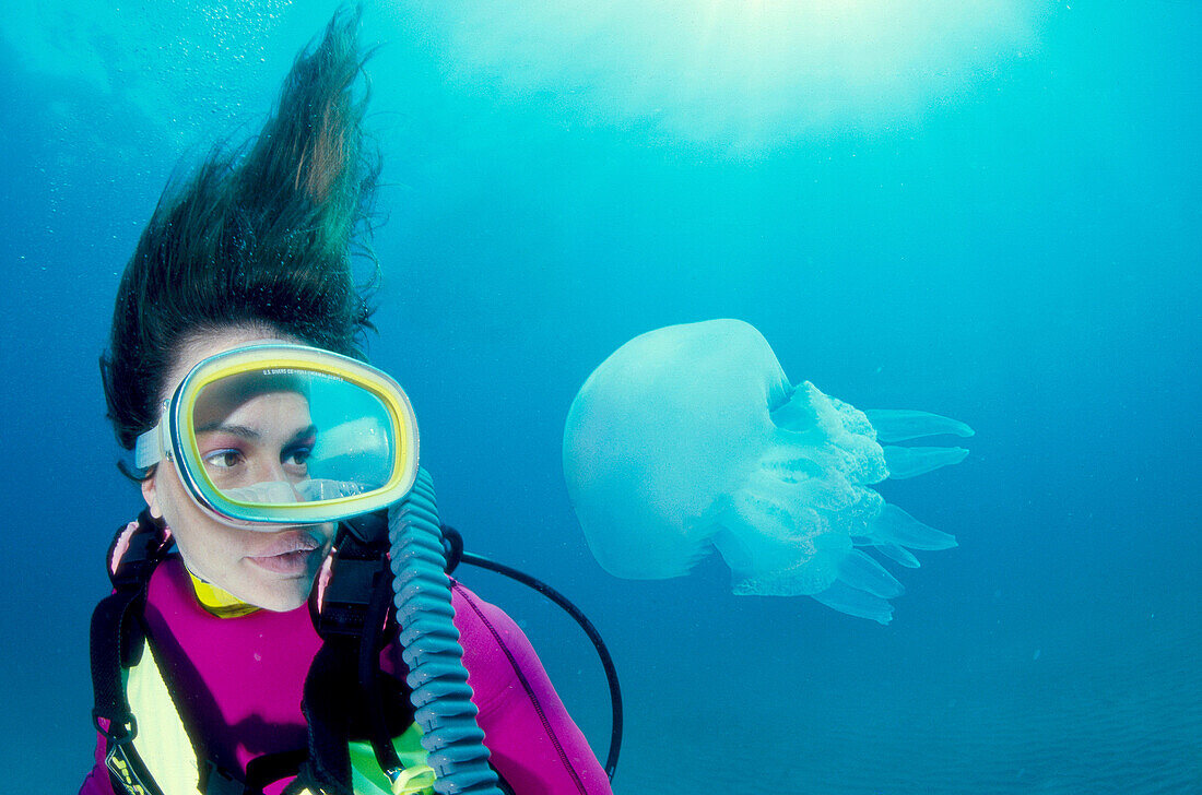 Diver and Stiff arms Jellyfish (Rhizostoma pulmo). Galicia, Spain