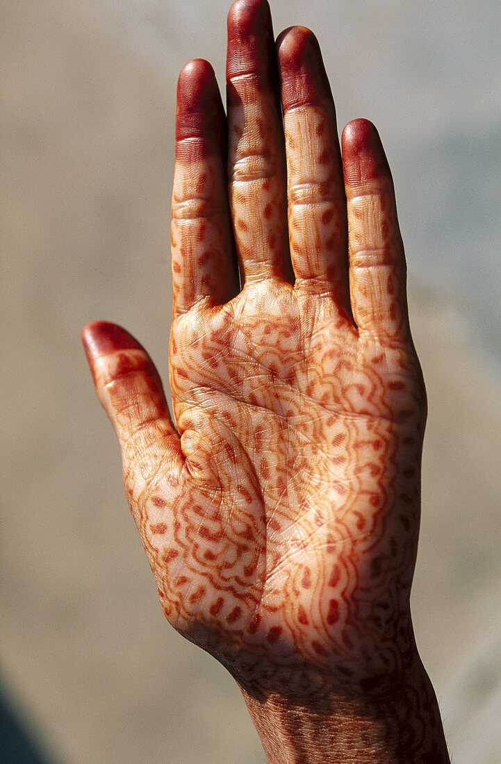 Hand with tattoo. Jaipur. Rajasthan. India.