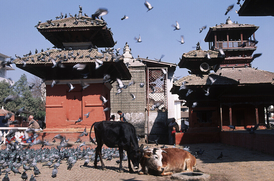 Nepal, Kathmandu, Durbar square, Jagannath temple