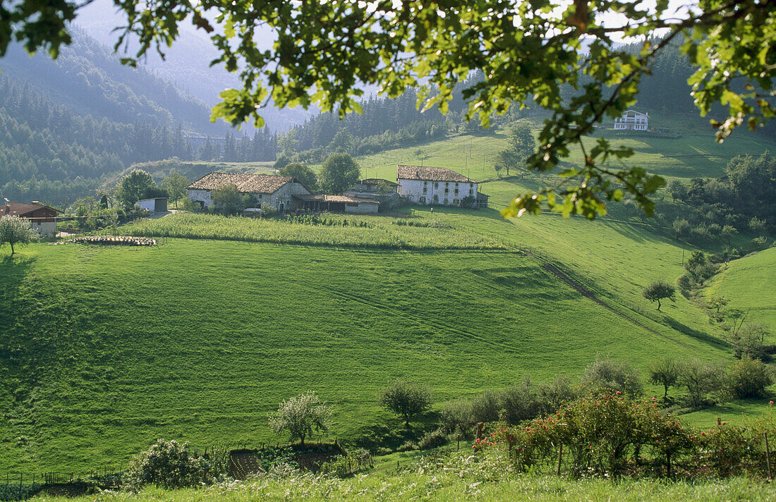 Caserío (Landhaus), Legazpi. Guipuzcoa, Euskadi, Spanien