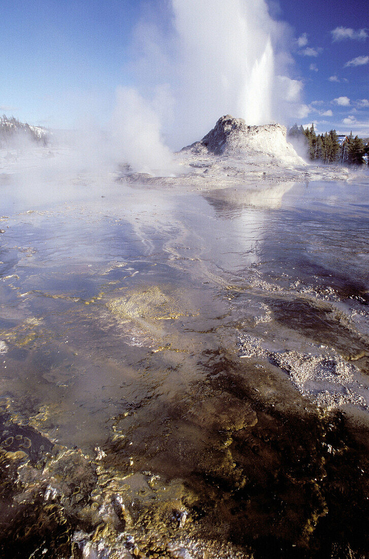 Tortoise shell spring, geyser erupting. Yellowstone National Park. Wyoming. USA