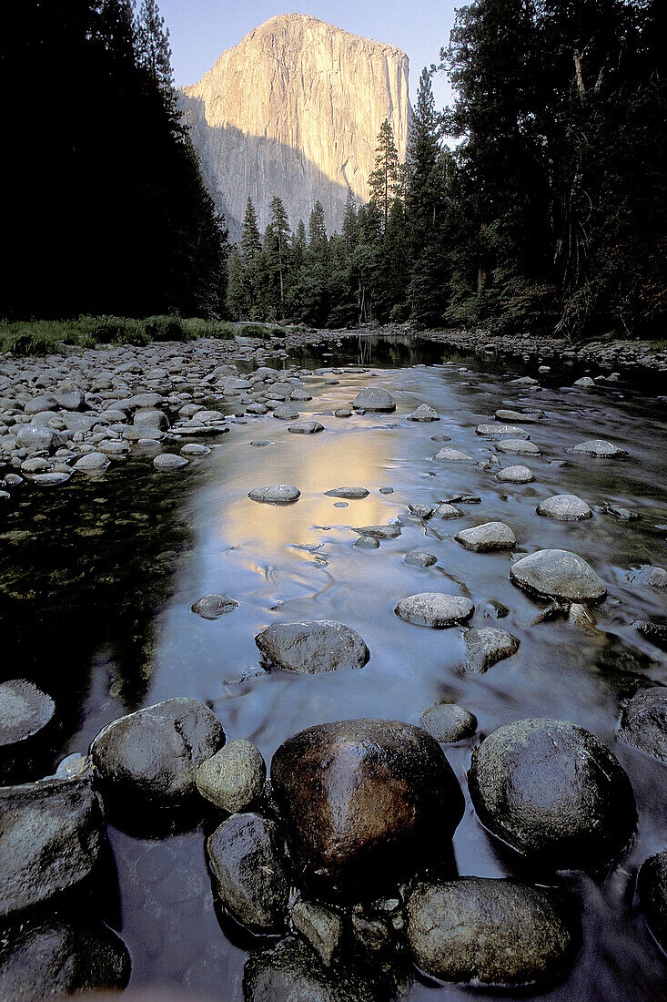 El Capitan and Merced River in Yosemite National Park. California. USA