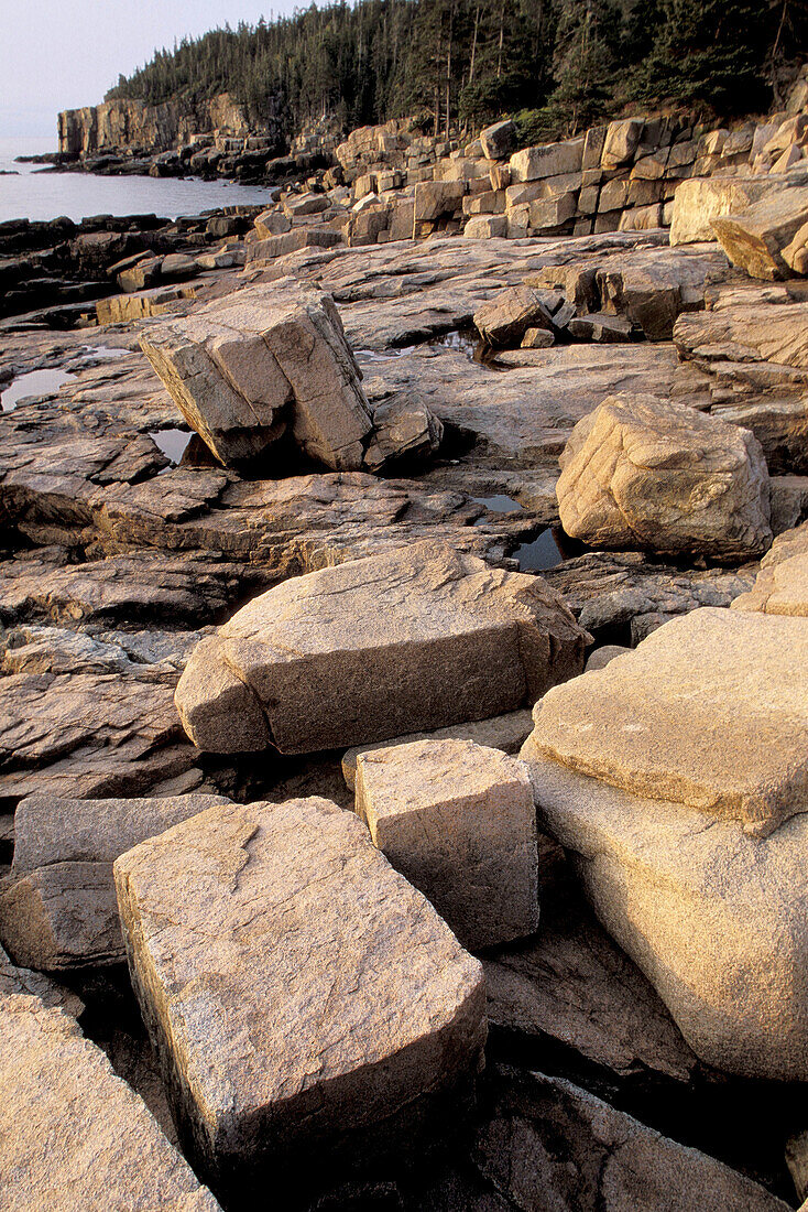 Granite rocks. Acadia National Park. Mount Desert Island. Maine. USA