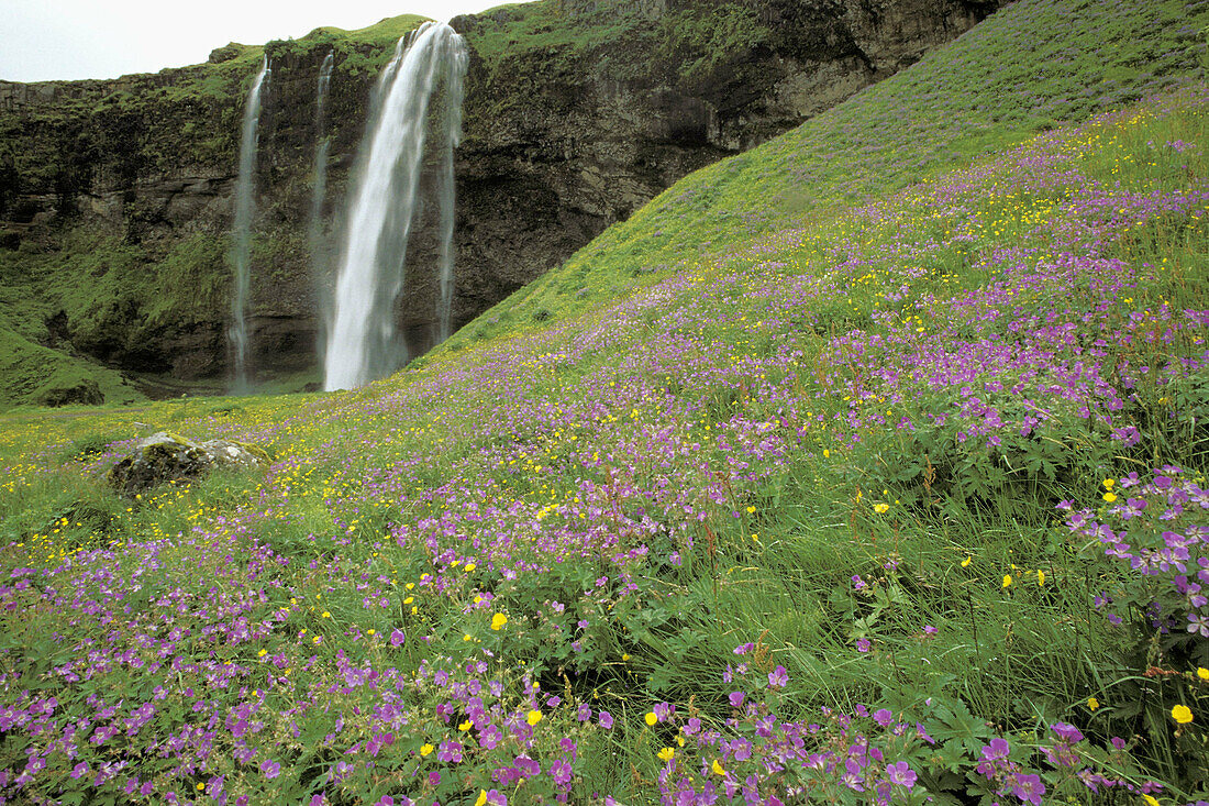 Waterfall. Iceland