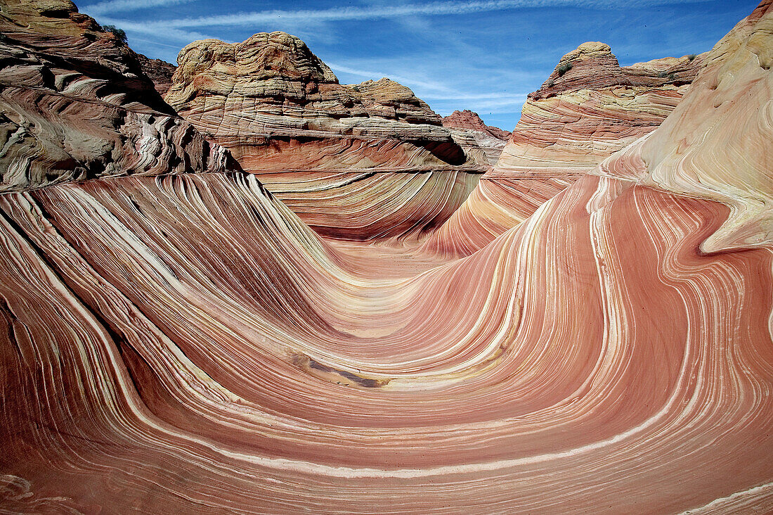 The Wave, swirling sandstone formation. Paria Canyon-Vermilion Cliffs Wilderness. Arizona, USA