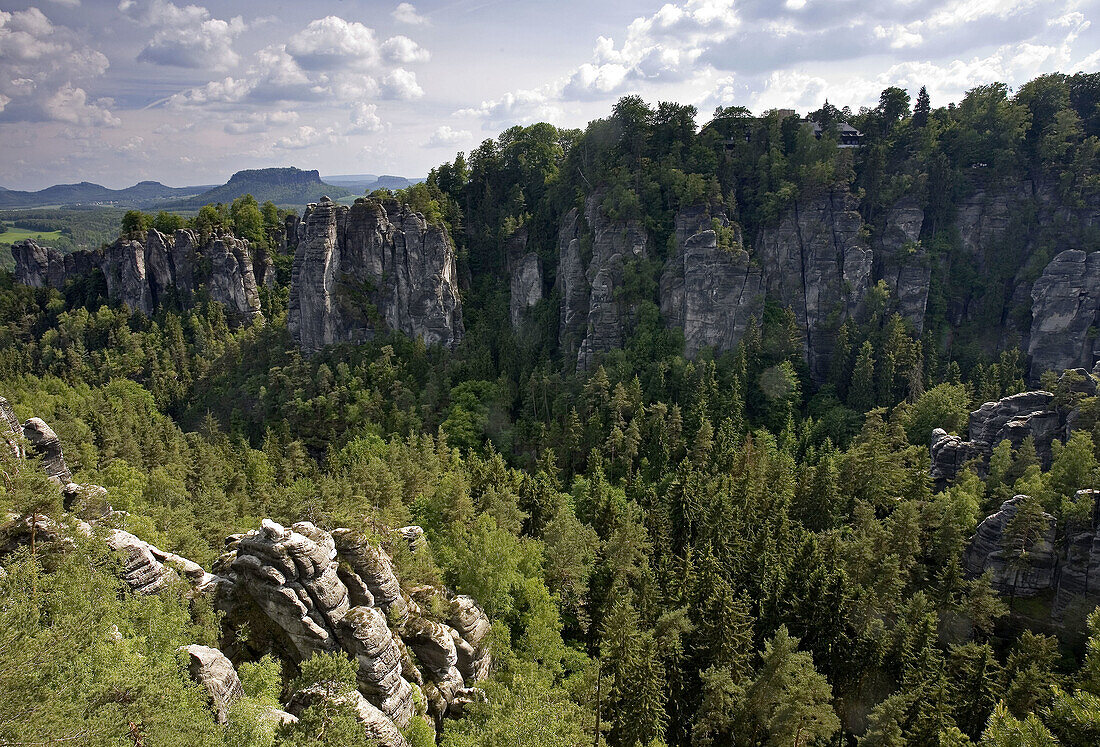 Elbe Sandstone Mountain. Saxon Switzerland National Park Region. Germany