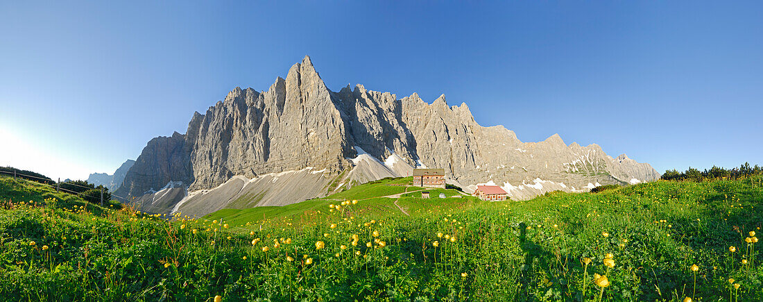 Karwendelpanorama über der Falkenhütte mit Trollblumen im Vordergrund, Karwendel, Tirol, Österreich