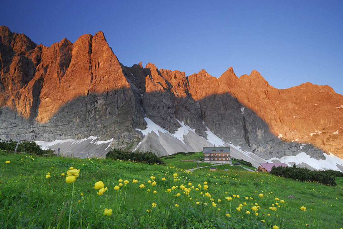 Trollblumenwiese mit Falkenhütte, Karwendel, Tirol, Österreich