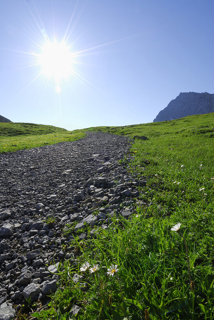 Gravel path in backlight, Hohljoch, Karwendel range, Tyrol, Austria