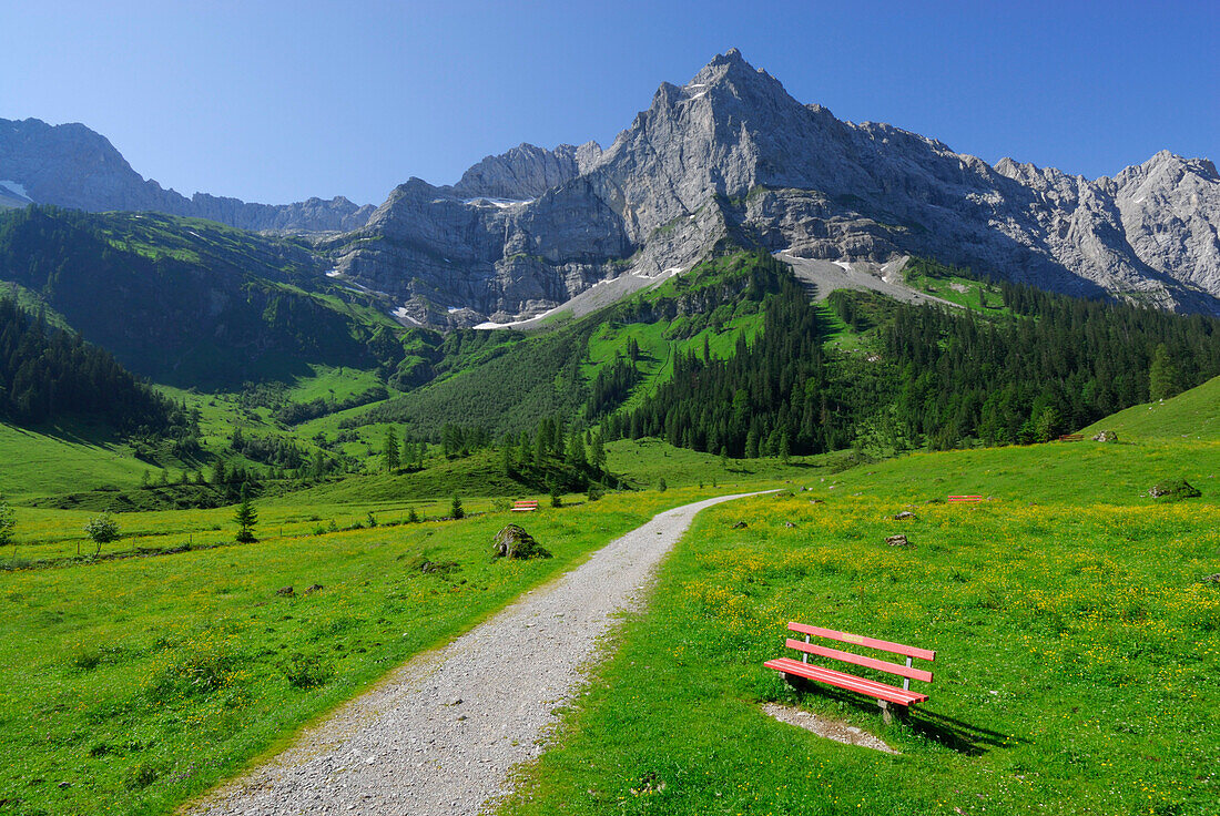 path in alpine pasture leading towards mountain range with red bench, Eng, Enger Alm, Karwendel range, Tyrol, Austria